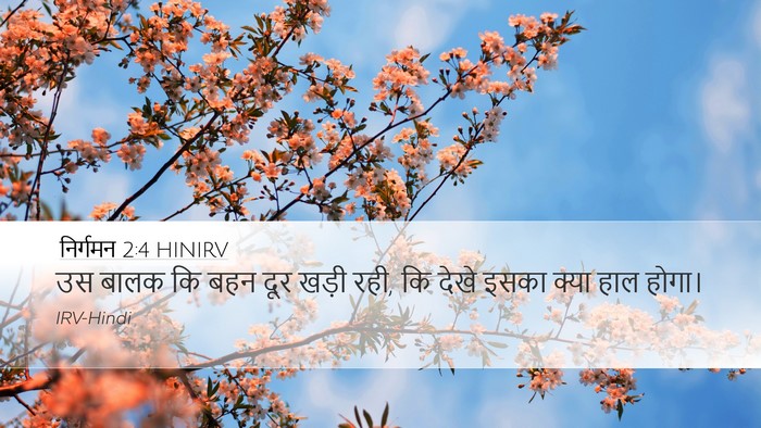 निर्गमन 2:4 HINIRV Bible Verse Image
