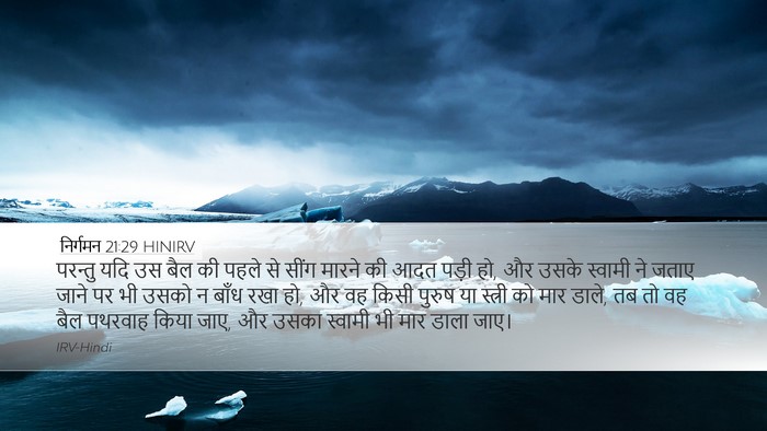 निर्गमन 21:29 HINIRV Bible Verse Image