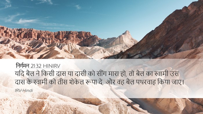 निर्गमन 21:32 HINIRV Bible Verse Image