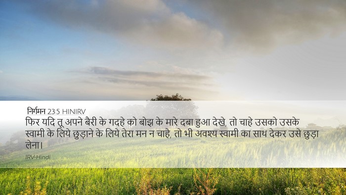 निर्गमन 23:5 HINIRV Bible Verse Image