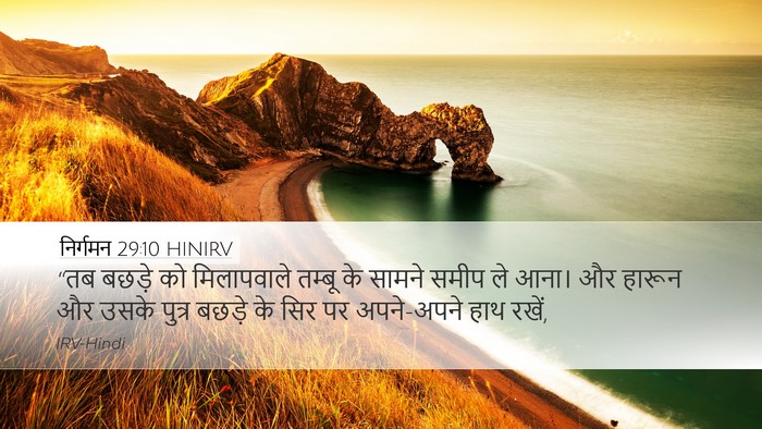 निर्गमन 29:10 HINIRV Bible Verse Image