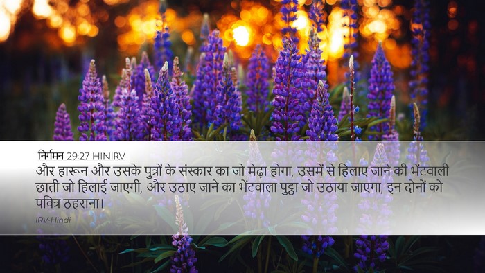 निर्गमन 29:27 HINIRV Bible Verse Image