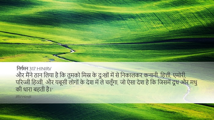 निर्गमन 3:17 HINIRV Bible Verse Image