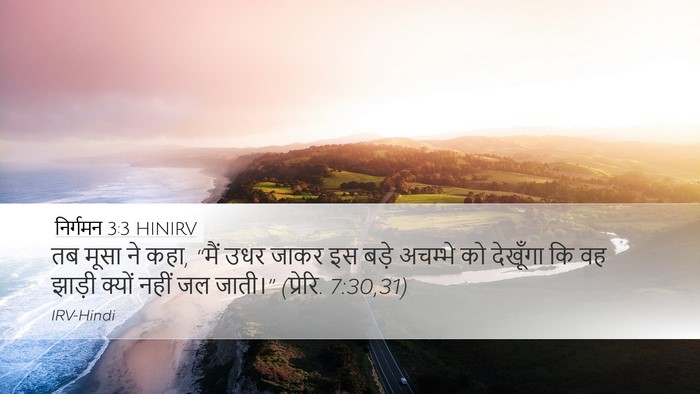 निर्गमन 3:3 HINIRV Desktop Wallpaper - तब मूसा ने कहा, - Desktop Bible Verse Wallpaper
