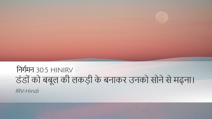 निर्गमन 30:5 HINIRV Bible Verse Image