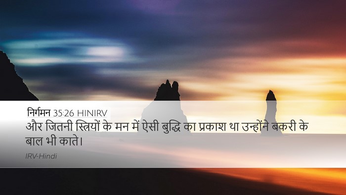 निर्गमन 35:26 HINIRV Bible Verse Image