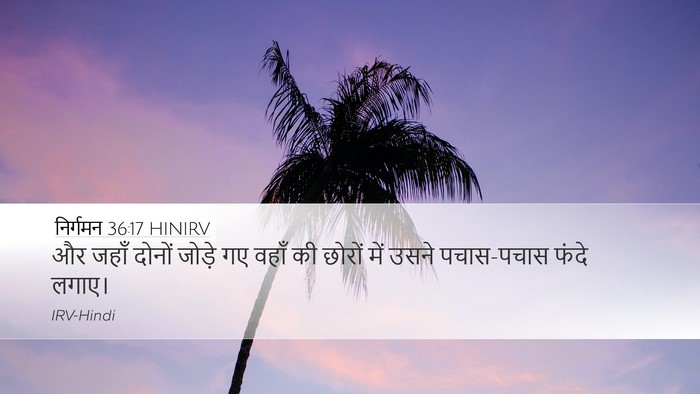 निर्गमन 36:17 HINIRV Bible Verse Image