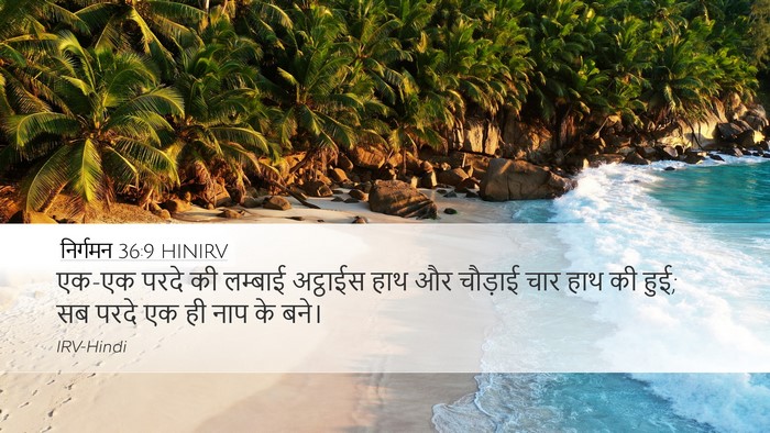 निर्गमन 36:9 HINIRV Desktop Wallpaper - एक-एक परदे की - Desktop Bible Verse Wallpaper