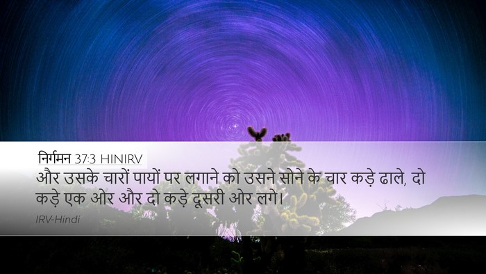 निर्गमन 37:3 HINIRV Bible Verse Image