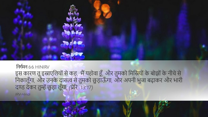 निर्गमन 6:6 HINIRV Bible Verse Image