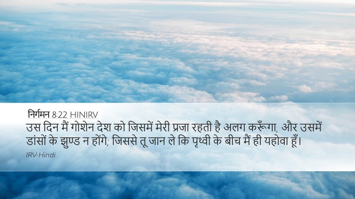निर्गमन 8:22 HINIRV Bible Verse Image