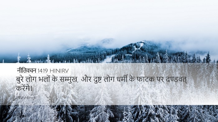 नीतिवचन 14:19 HINIRV Desktop Wallpaper - बुरे लोग भलों के - Desktop Bible Verse Wallpaper