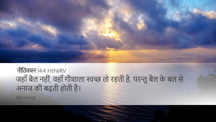 नीतिवचन 14:4 HINIRV Desktop Wallpaper - जहाँ बैल नहीं, वहाँ - Desktop Bible Verse Wallpaper