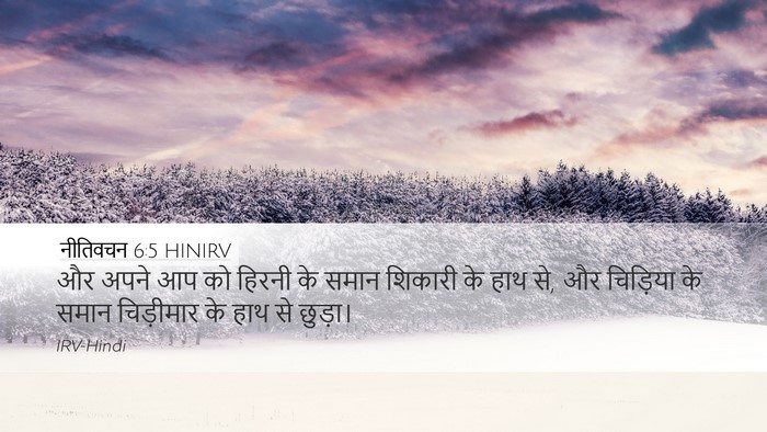 नीतिवचन 6:5 HINIRV Bible Verse Image