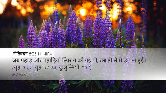 नीतिवचन 8:25 HINIRV Bible Verse Image
