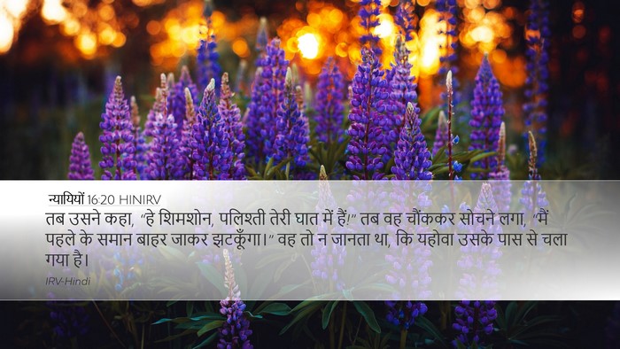 न्यायियों 16:20 HINIRV Bible Verse Image