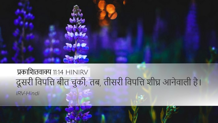 प्रकाशितवाक्य 11:14 HINIRV Bible Verse Image