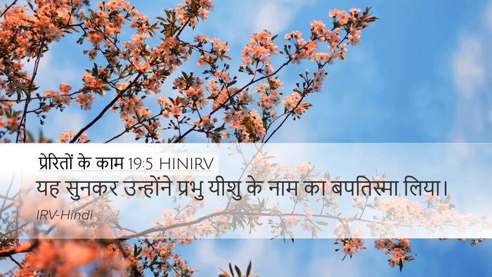 प्रेरितों के काम 19:5 HINIRV Bible Verse Image