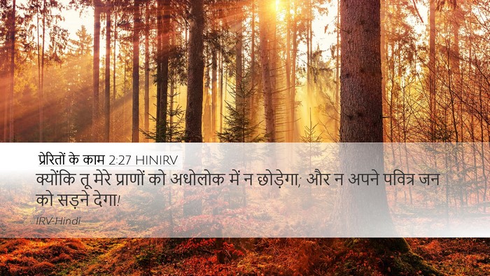 प्रेरितों के काम 2:27 HINIRV Bible Verse Image