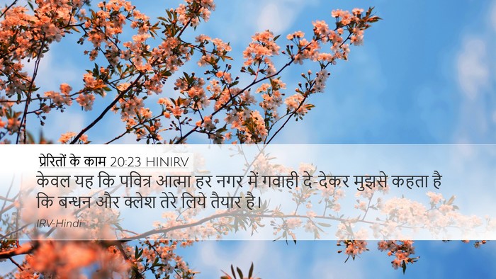 प्रेरितों के काम 20:23 HINIRV Bible Verse Image