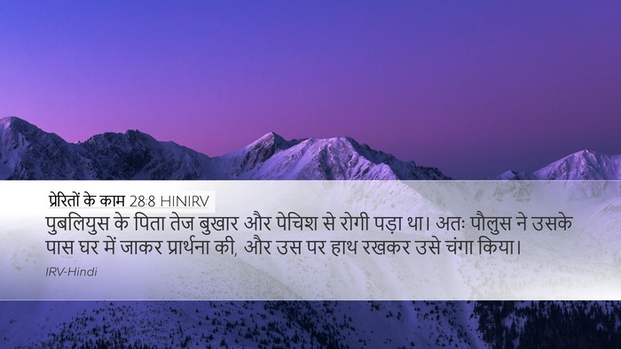 प्रेरितों के काम 28:8 HINIRV Bible Verse Image
