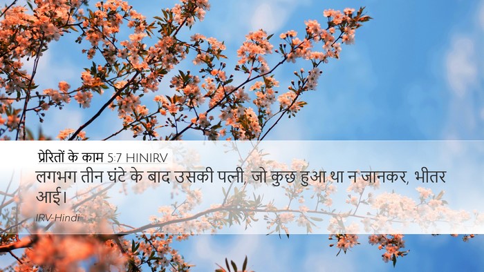 प्रेरितों के काम 5:7 HINIRV Desktop Wallpaper - लगभग तीन घंटे के - Desktop Bible Verse Wallpaper