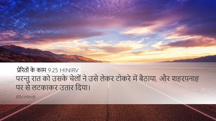प्रेरितों के काम 9:25 HINIRV Bible Verse Image