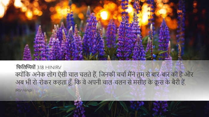 फिलिप्पियों 3:18 HINIRV Bible Verse Image