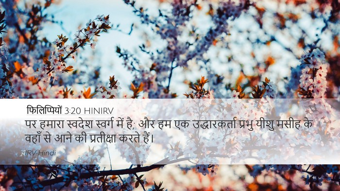 फिलिप्पियों 3:20 HINIRV Bible Verse Image