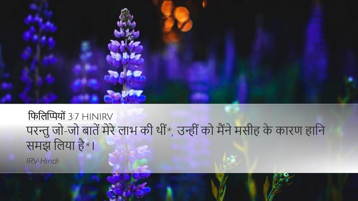 फिलिप्पियों 3:7 HINIRV Bible Verse Image