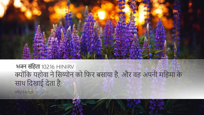 भजन संहिता 102:16 HINIRV Bible Verse Image