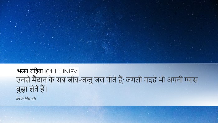 भजन संहिता 104:11 HINIRV Desktop Wallpaper - उनसे मैदान के सब - Desktop Bible Verse Wallpaper