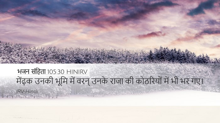भजन संहिता 105:30 HINIRV Bible Verse Image