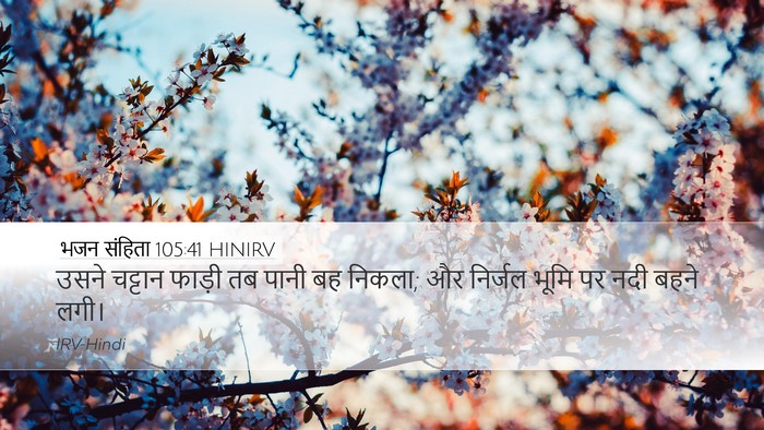 भजन संहिता 105:41 HINIRV Bible Verse Image