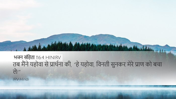 भजन संहिता 116:4 HINIRV Desktop Wallpaper - तब मैंने यहोवा से - Desktop Bible Verse Wallpaper
