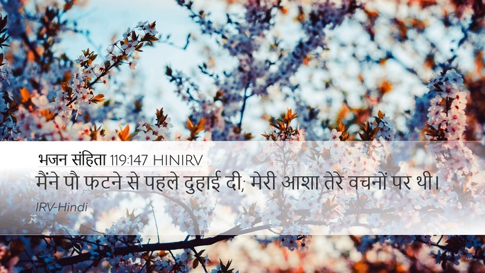 भजन संहिता 119:147 HINIRV Bible Verse Image