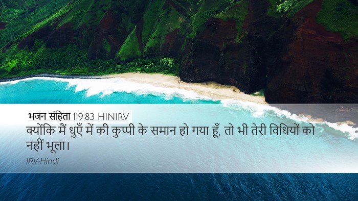 भजन संहिता 119:83 HINIRV Bible Verse Image