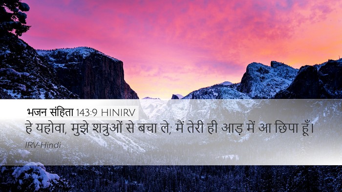 भजन संहिता 143:9 HINIRV Bible Verse Image