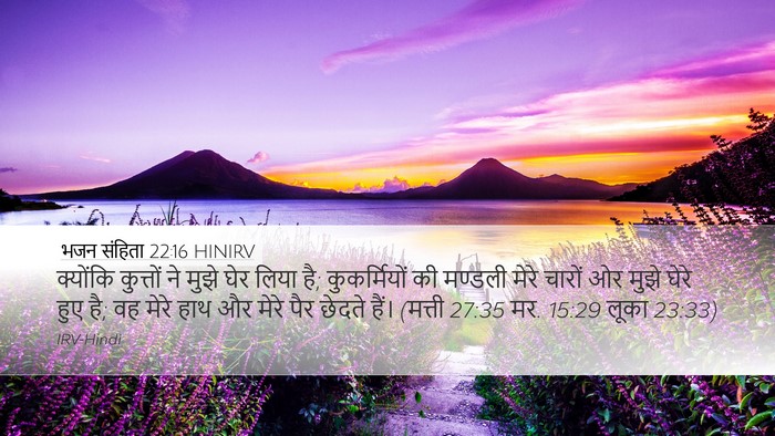 भजन संहिता 22:16 HINIRV Bible Verse Image