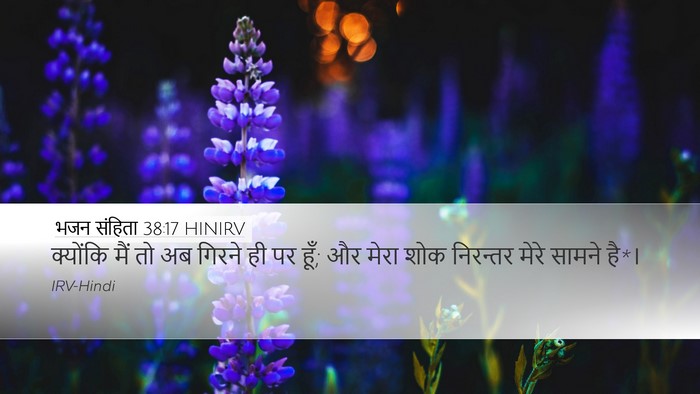 भजन संहिता 38:17 HINIRV Desktop Wallpaper - क्योंकि मैं तो अब - Desktop Bible Verse Wallpaper