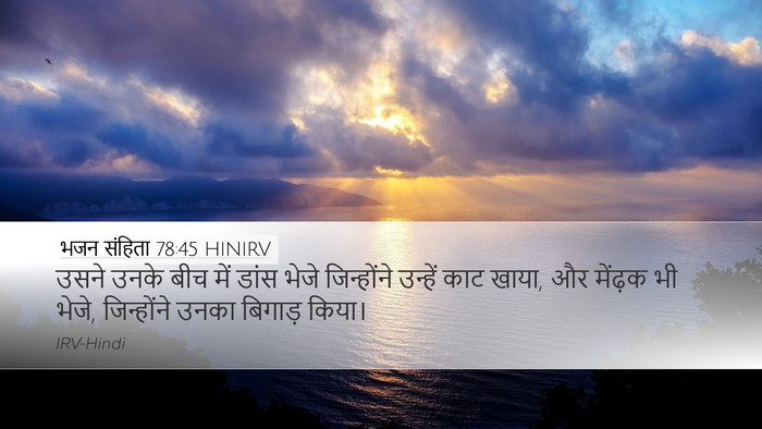 भजन संहिता 78:45 HINIRV Desktop Wallpaper - उसने उनके बीच में - Desktop Bible Verse Wallpaper