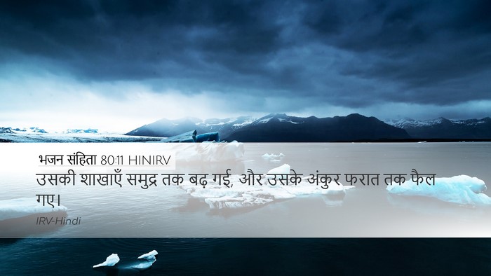 भजन संहिता 80:11 HINIRV Bible Verse Image