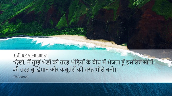 मत्ती 10:16 HINIRV Bible Verse Image