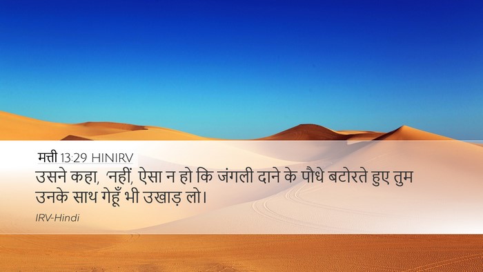 मत्ती 13:29 HINIRV Desktop Wallpaper - उसने कहा, ‘नहीं, - Desktop Bible Verse Wallpaper