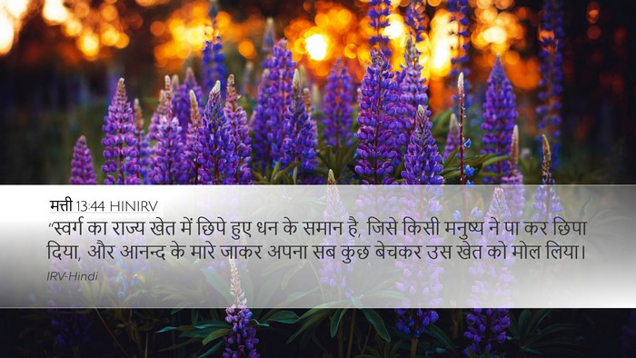 मत्ती 13:44 HINIRV Bible Verse Image