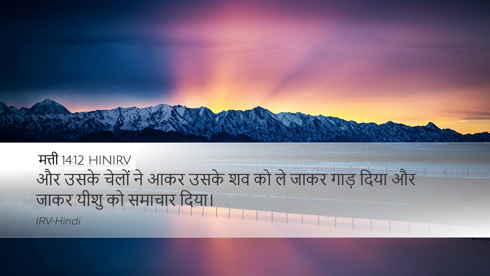 मत्ती 14:12 HINIRV Desktop Wallpaper - और उसके चेलों ने - Desktop Bible Verse Wallpaper