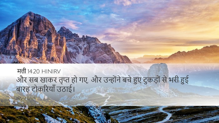 मत्ती 14:20 HINIRV Bible Verse Image