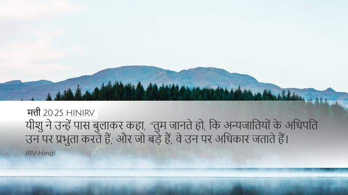 मत्ती 20:25 HINIRV Bible Verse Image
