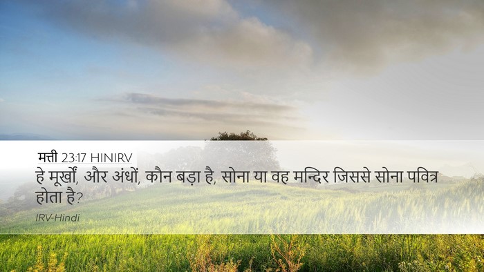 मत्ती 23:17 HINIRV Bible Verse Image