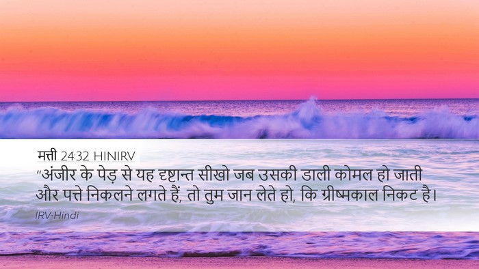 मत्ती 24:32 HINIRV Bible Verse Image